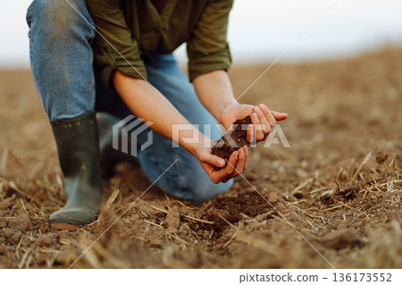 A young woman farmer holds black soil in hand on an agricultural field. Fertility concept, scaling. A young woman farmer holds black soil in hand on an agricultural field. Fertility concept, scaling. 136173552