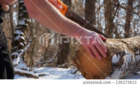 Male arm sawing a log in sunny winter forest. Strong guy working with a saw in snowy woodland. Concept of strength, masculine, energy, and harmony with nature during cold season. Slow motion Male arm sawing a log in sunny winter forest. Strong guy working with a saw in snowy woodland. Concept of strength, masculine, energy, and harmony with nature during cold season. Slow motion 136173613