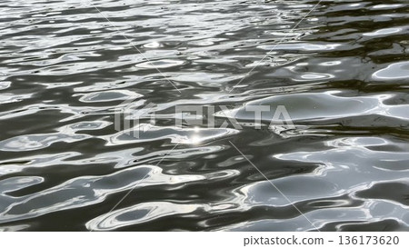 Scenery surface of pond illuminated by sun at summertime. Calm view on sea with small waves at sunny day. Beautiful summer nature landscape. Concept of tranquility scene. Slow motion 136173620