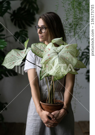 Woman gardener holding flower caladium houseplant with large white leaves in clay pot, looking aside Woman gardener holding flower caladium houseplant with large white leaves in clay pot, looking aside 136173785