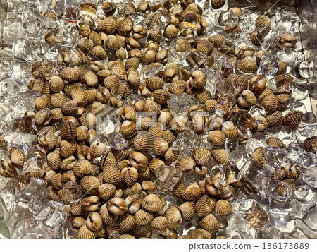 Fresh Cockles Shellfish on Ice Fresh Cockles Shellfish on Ice 136173889