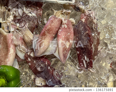Fresh Squid on Ice Display Fresh Squid on Ice Display 136173891
