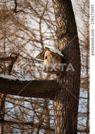 Handmade wooden nest box attached to tree, special place for wintering birds organized in city parks 136173895