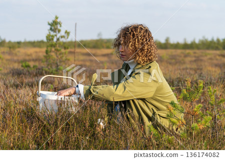Young woman in trendy trench picking berries on autumn swamp holding white basket with cranberries Young woman in trendy trench picking berries on autumn swamp holding white basket with cranberries 136174082
