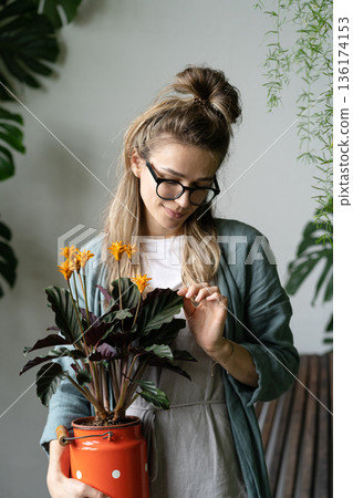 woman florist holding flowering calathea plant in red milk can standing in home garden woman florist holding flowering calathea plant in red milk can standing in home garden 136174153