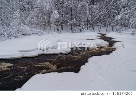 Running raging river with melted mountain water washing icy shores of snowy coniferous winter forest Running raging river with melted mountain water washing icy shores of snowy coniferous winter forest 136174205
