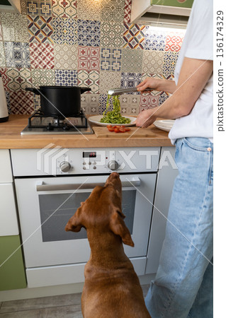 Woman puts the fettuccine pesto paste from saucepan on a plate, dog begging nearby Woman puts the fettuccine pesto paste from saucepan on a plate, dog begging nearby 136174329