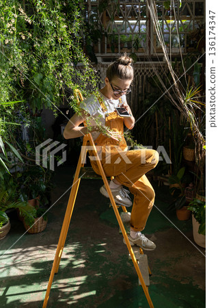 Smiling woman gardener in overalls sitting on stepladder, resting, takes a photo of houseplant twig on smartphone. Love for plants, hobby, indoor gardening Smiling woman gardener in overalls sitting on stepladder, resting, takes a photo of houseplant twig on smartphone. Love for plants, hobby, indoor gardening 136174347