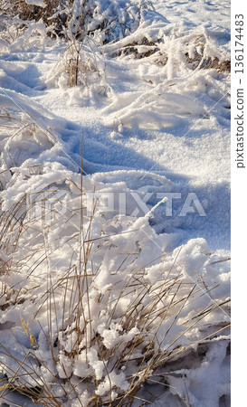 Bright winter landscape of a field with dry grass covered in thick white snow under golden sunlight. Bright winter landscape of a field with dry grass covered in thick white snow under golden sunlight. 136174483