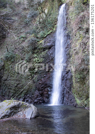 Yoro no Waterfall 136175201