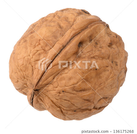A whole walnut in its shell with pronounced texture and grooves 136175268