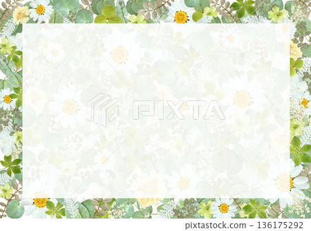 Natural green and white flower frame background (A4 landscape) | For botanical, documents, and flyers Natural green and white flower frame background (A4 landscape) | For botanical, documents, and flyers 136175292