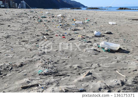 沿海殘骸 環境問題 垃圾問題 136175371