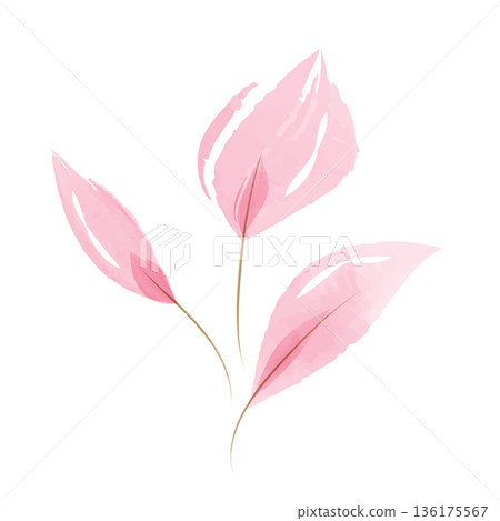 A delicate set of three pink watercolor leaves with thin stems. The translucent pink layers create a soft, airy look. This artistic element floats on a clean white background. 136175567