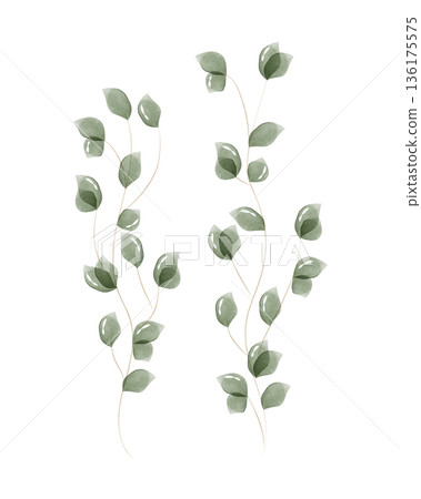 Graceful watercolor leaves in varying shades of soft green are depicted on two flowing stems. This artistic rendering offers a light and airy botanical accent. Graceful watercolor leaves in varying shades of soft green are depicted on two flowing stems. This artistic rendering offers a light and airy botanical accent. 136175575