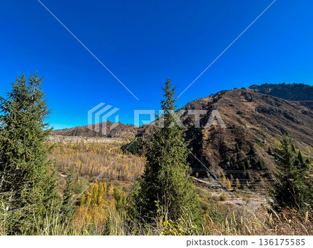 Autumn Mountain Landscape With Pine Trees and Clear Blue Sky in Kazakhstan Autumn Mountain Landscape With Pine Trees and Clear Blue Sky in Kazakhstan 136175585