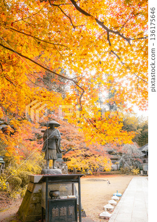 The statue of Kobo Daishi at Kanpukuji Temple and autumn scenery with autumn leaves 136175646