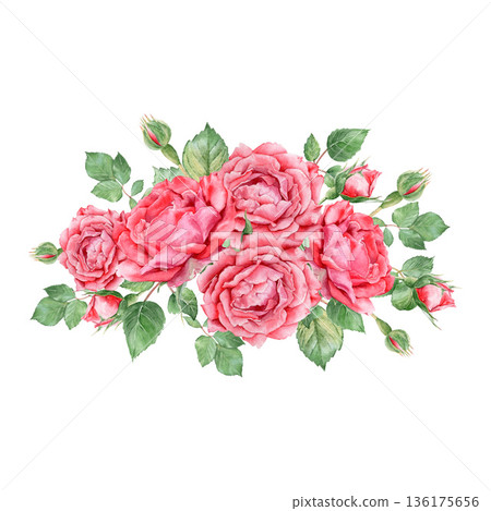 Watercolor floral composition : lush red roses, delicate buds and green foliage,hand drawn . Romantic botanical clipart isolated on white. Watercolor floral composition : lush red roses, delicate buds and green foliage,hand drawn . Romantic botanical clipart isolated on white. 136175656