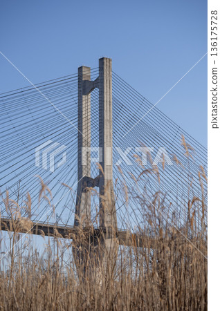 秩父的冬日:秩父公園橋(秩父豎琴橋)和冬日蕭瑟的河岸,在藍天的映襯下閃閃發光 秩父的冬日:秩父公園橋(秩父豎琴橋)和冬日蕭瑟的河岸,在藍天的映襯下閃閃發光 136175728