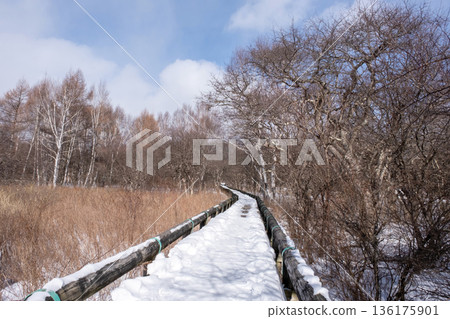 Snow-covered boardwalk in Senjogahara, Nikko Snow-covered boardwalk in Senjogahara, Nikko 136175901