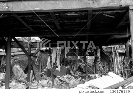 Ruins Monochrome Ruins Monochrome 136176129