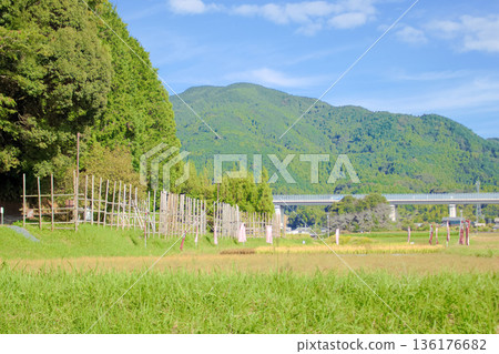 [Aichi Prefecture] Nagashino-Shitaragahara Battle Horse Fence in Shinshiro City 136176682