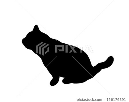 Silhouette of a sitting cat 136176891