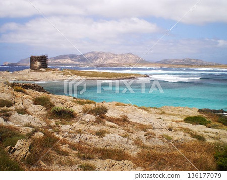 Turquoise crystal-clear sea and white sandy beach in Stintino, Olbia, Sardinia, Italy. Stunning Mediterranean seascape with shallow transparent water, soft waves, and bright summer light. Famous for Turquoise crystal-clear sea and white sandy beach in Stintino, Olbia, Sardinia, Italy. Stunning Mediterranean seascape with shallow transparent water, soft waves, and bright summer light. Famous for 136177079