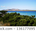 Light blue waters of the sea in Stintino, Sardinia, Italy. A breathtaking coastal landscape featuring the pristine beach, gentle waves, and a serene Mediterranean beautiful atmosphere. 136177095