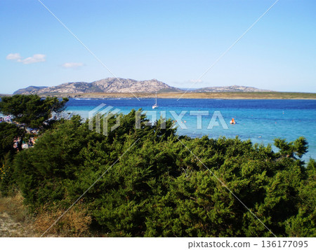 Light blue waters of the sea in Stintino, Sardinia, Italy. A breathtaking coastal landscape featuring the pristine beach, gentle waves, and a serene Mediterranean beautiful atmosphere. 136177095