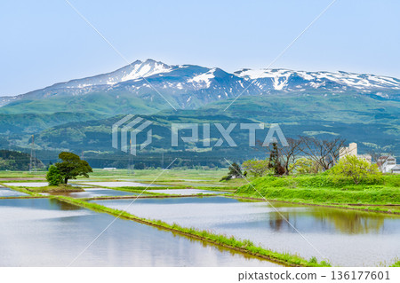 山形縣鳥海山仍殘留著積雪。 136177601