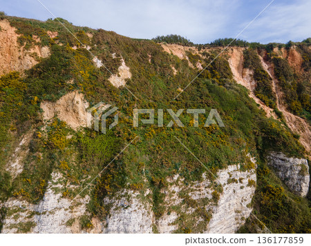 Aerial View of Saint Jouin Bruneval Beach with Waves and Cliffs Aerial View of Saint Jouin Bruneval Beach with Waves and Cliffs 136177859