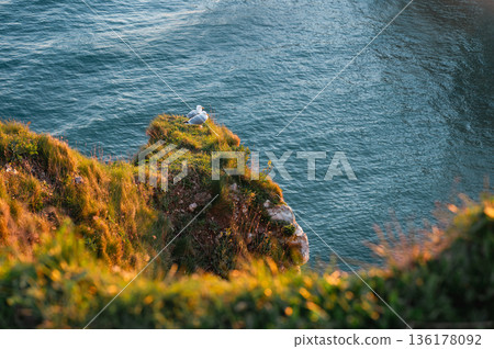 Cliffs and Waters of Etretat 136178092