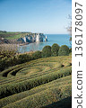 Jardins d'Etretat on the Alabaster Coast Cliffs 136178097