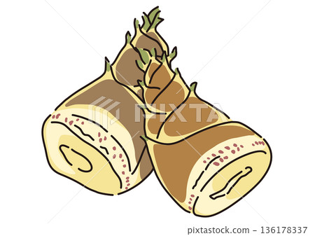 Large fresh bamboo shoots - simple illustration Large fresh bamboo shoots - simple illustration 136178337