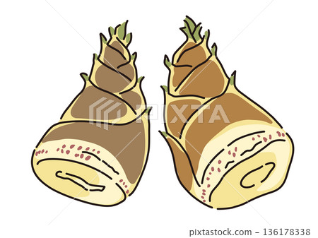 Large fresh bamboo shoots simple illustration set 136178338