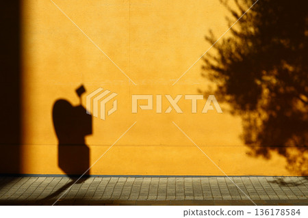 An ochre wall with the shadows of an olive tree and a road sign An ochre wall with the shadows of an olive tree and a road sign 136178584
