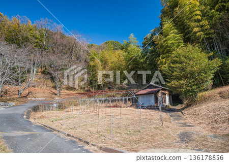 從石武台墓到岡寺的道路,位於奈良縣飛鳥村 從石武台墓到岡寺的道路,位於奈良縣飛鳥村 136178856