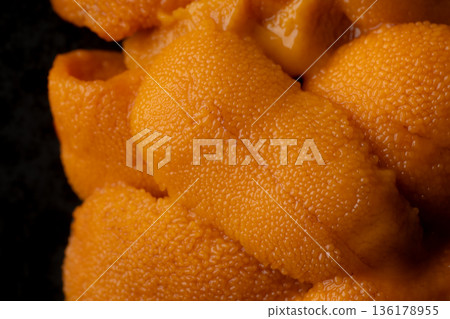 Close up of fresh raw sea urchin 136178955