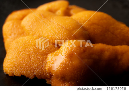 Close up of fresh raw sea urchin 136178956