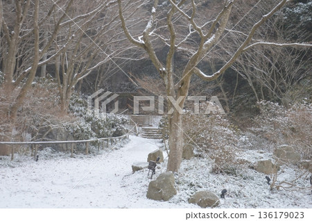 Kobe City Forest Botanic Garden 136179023