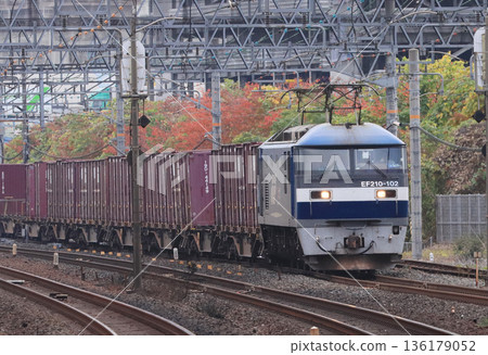 An EF210-hauled freight train running near Ibaraki Station in autumn An EF210-hauled freight train running near Ibaraki Station in autumn 136179052