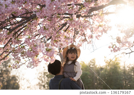 櫻花盛開，家長和孩子們正在欣賞櫻花美景。 136179167