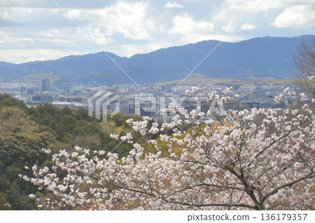 Kyoto - ji temple in Kyoto 136179357