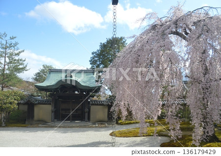Kyoto · Kodaiji 136179429