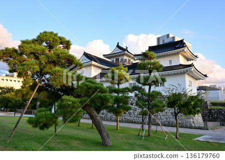 Toyama castle Toyama castle 136179760