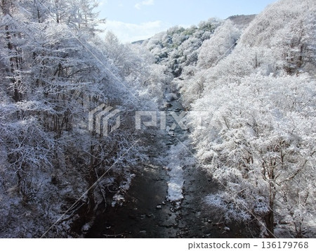寒冷的冬天風景 寒冷的冬天風景 136179768