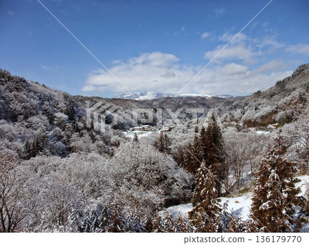 寒冷的冬天風景 寒冷的冬天風景 136179770