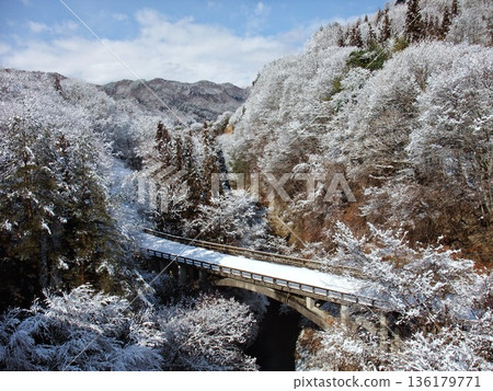 寒冷的冬天風景 寒冷的冬天風景 136179771