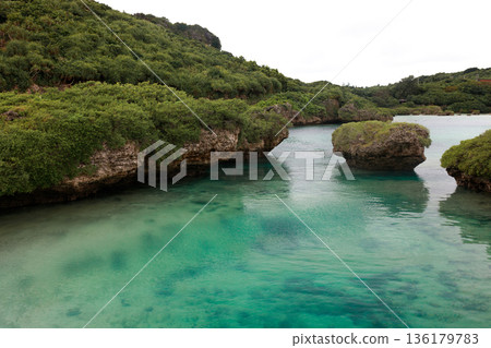 冬日的仁橋海洋庭園。從觀景台上眺望宮古島海景。 136179783